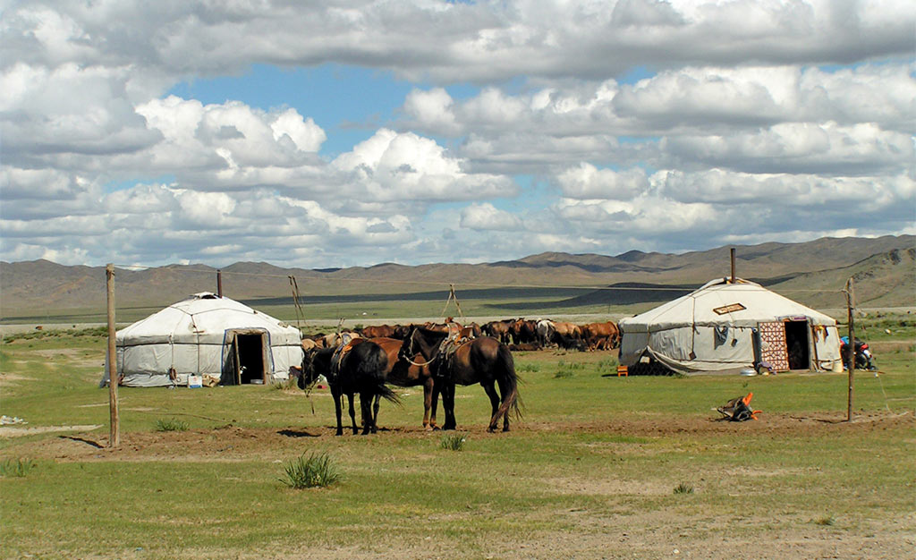 Mongolie Reisverslag