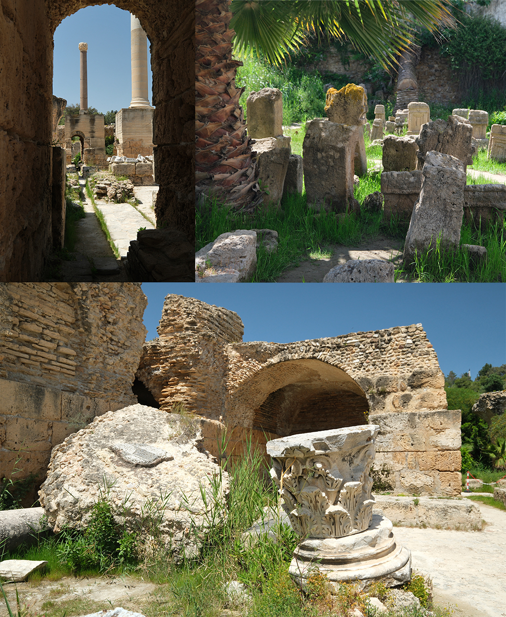 Carthago Tunis