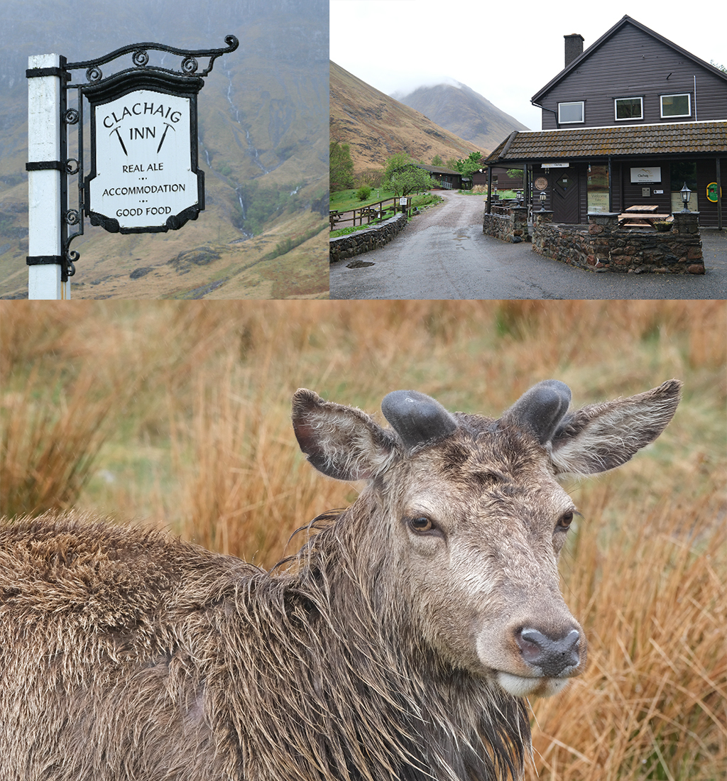 Clachaig Inn Glencoe accommodatie