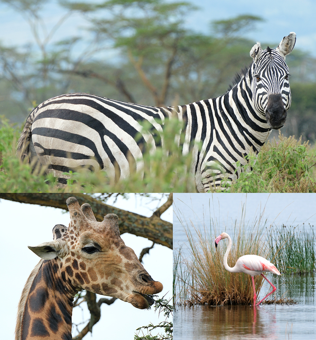 Crescent Island Naivasha