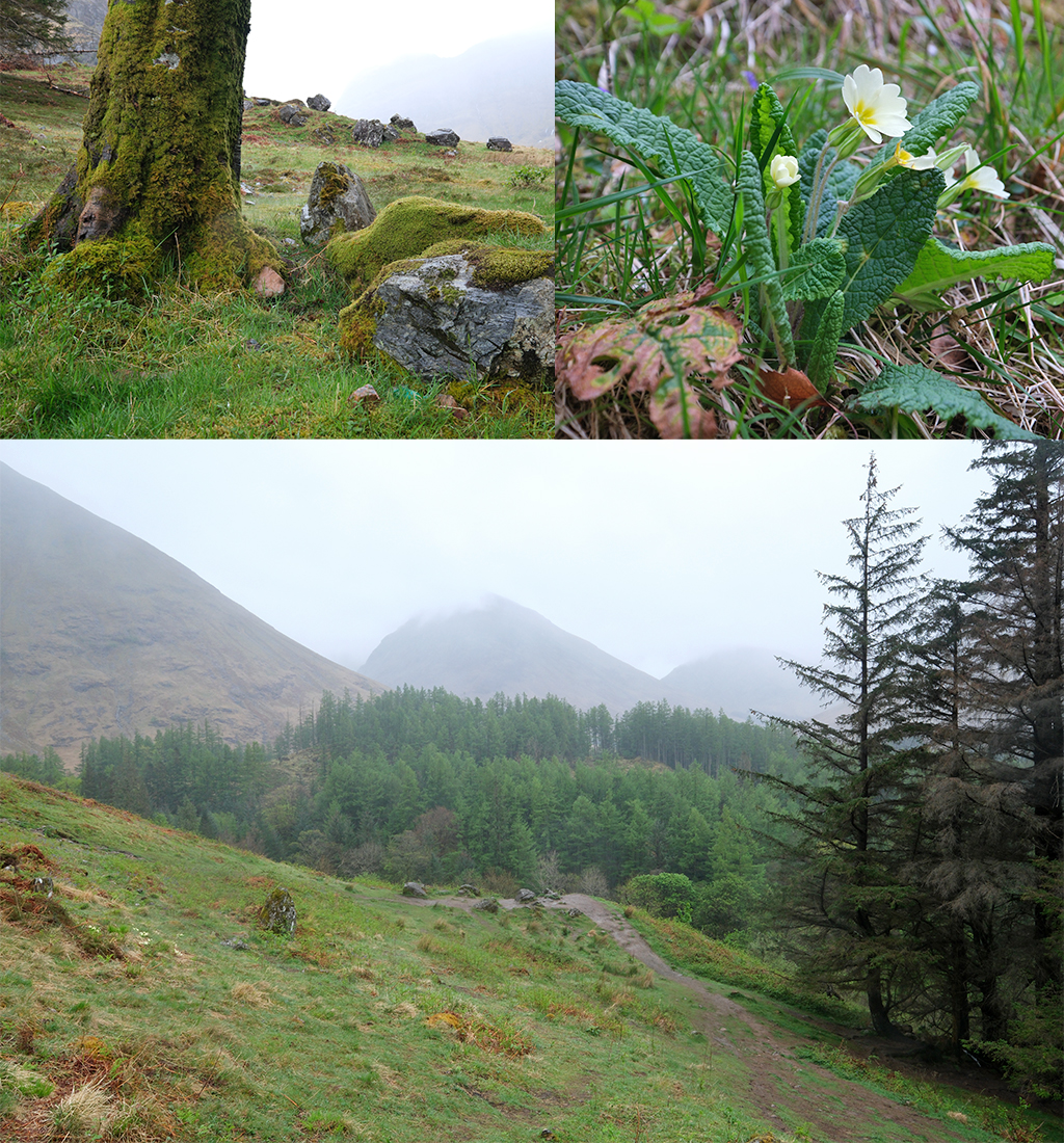 Hagrid's hut Glencoe