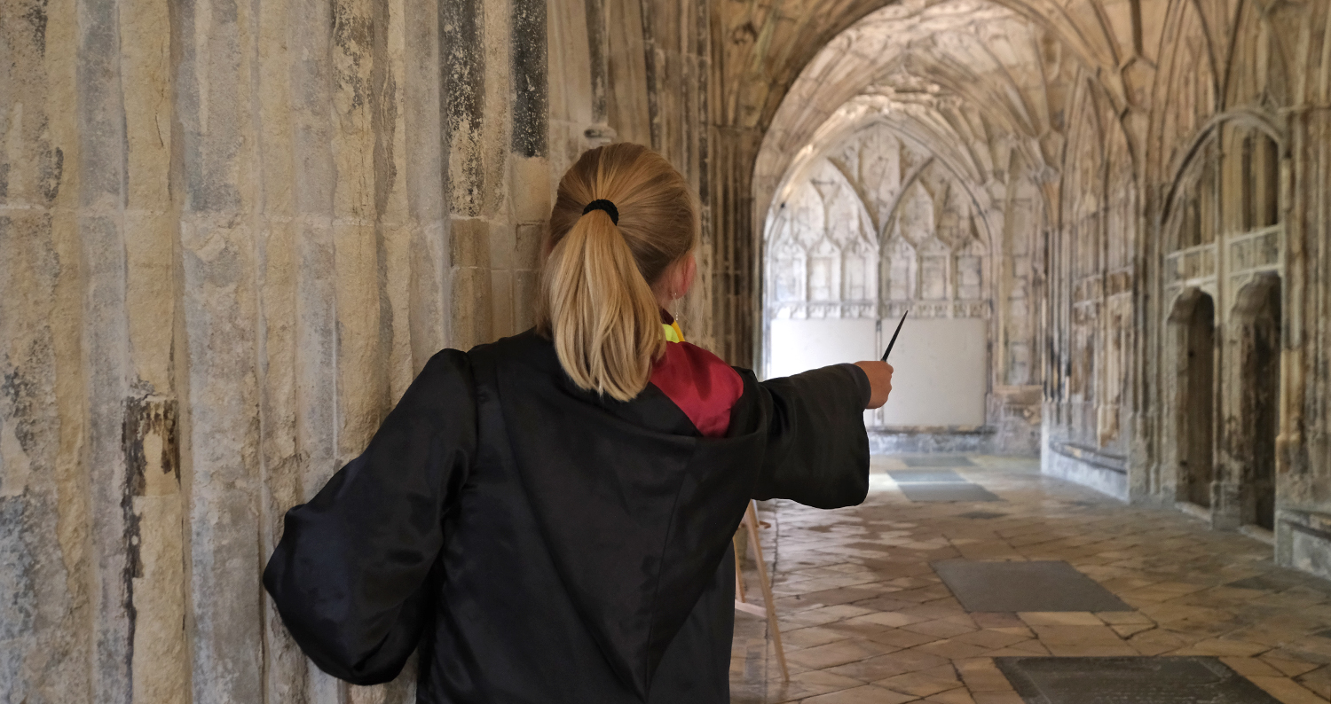 Harry Potter reis