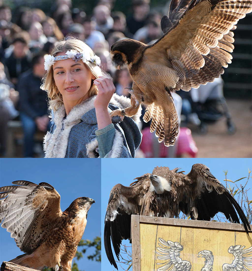 Le Bal des Oiseaux Fantômes - Puy du Fou