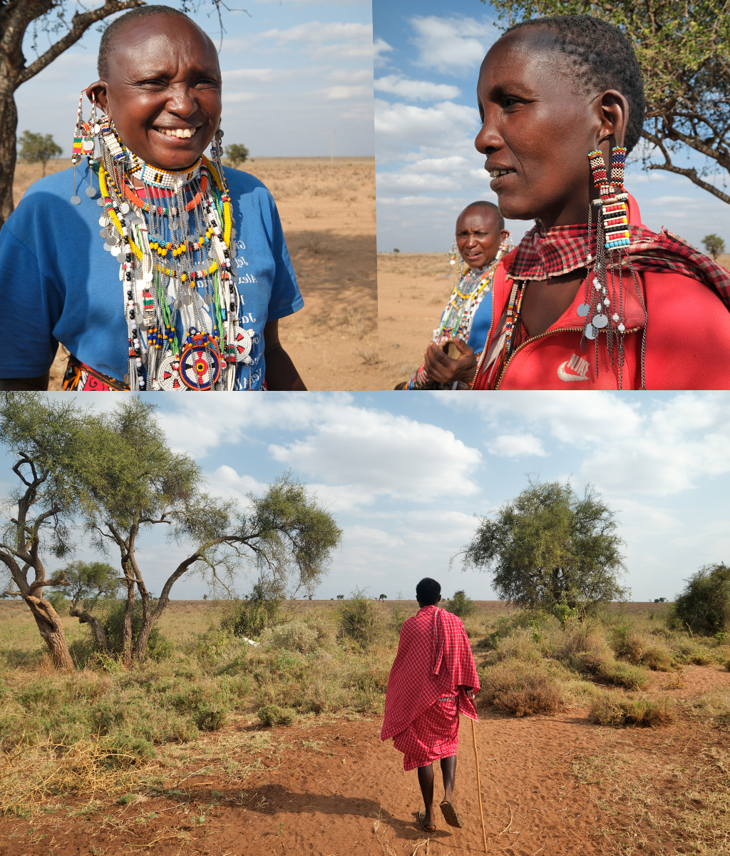 Maasai Amboseli