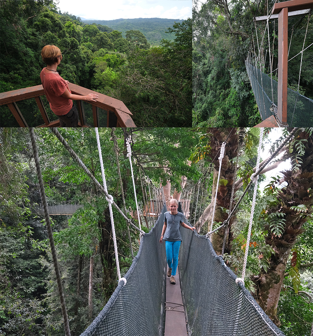 Poring Canopy Walk