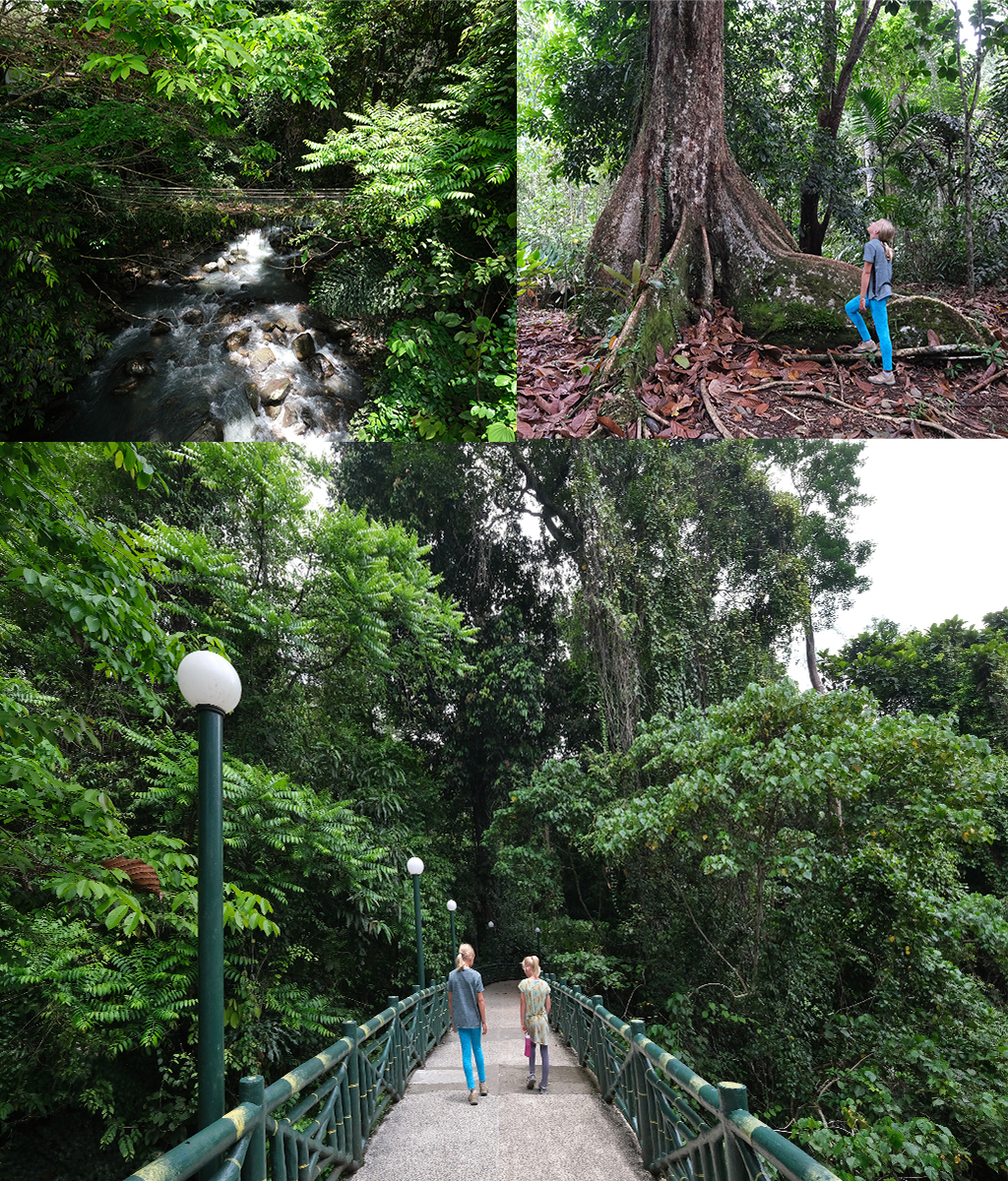 Poring Hot Springs Borneo