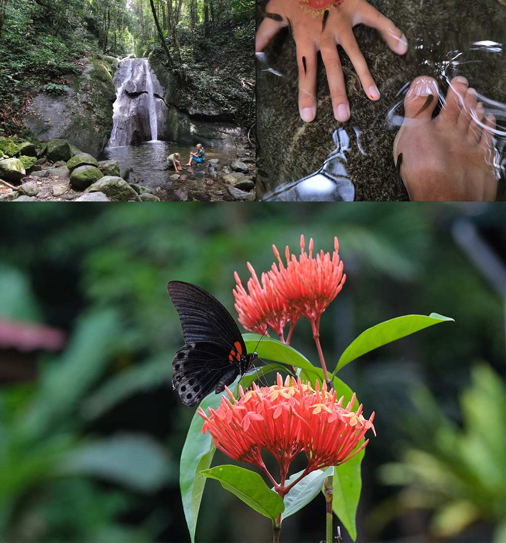 Poring Kipungit waterval en vlindertuin