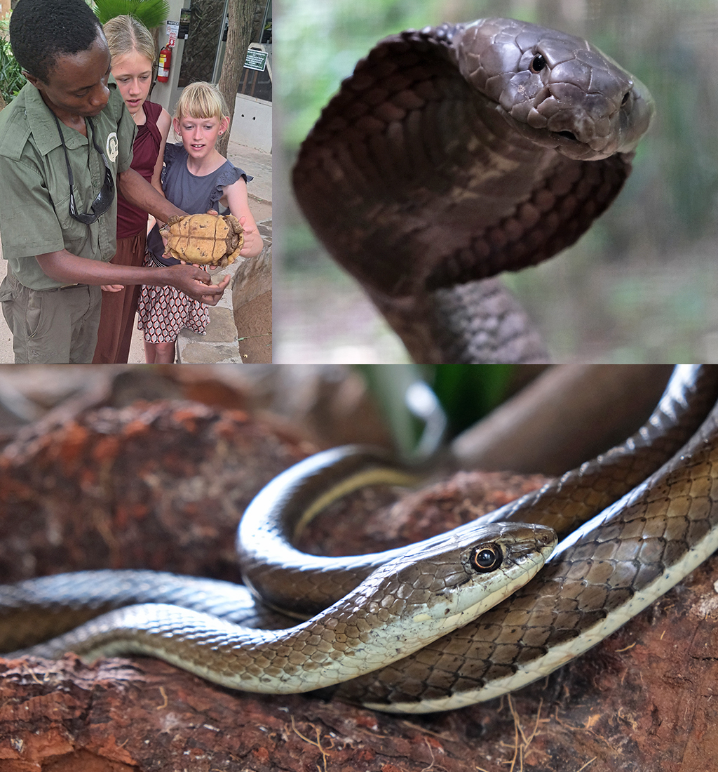 Snake Farm Watamu