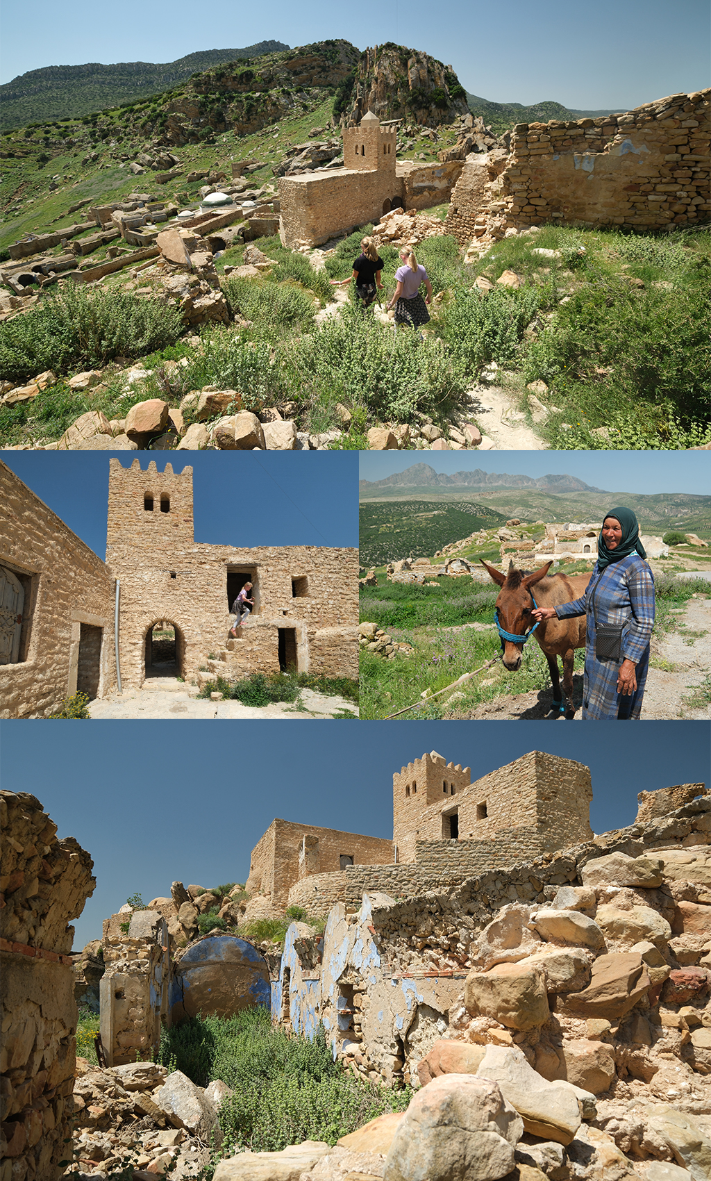 Zriba Olia