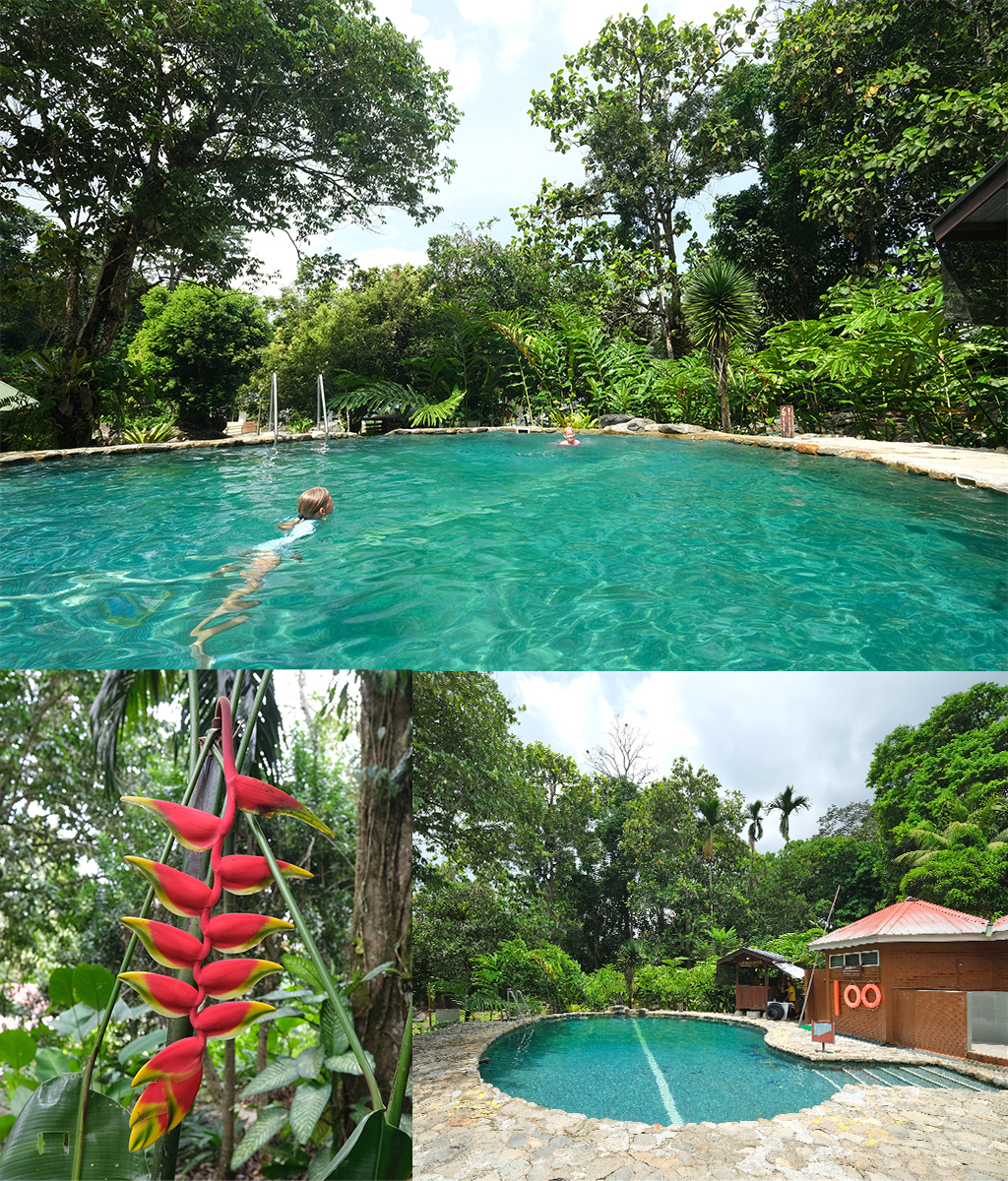 Zwemmen Poring Hotsprings