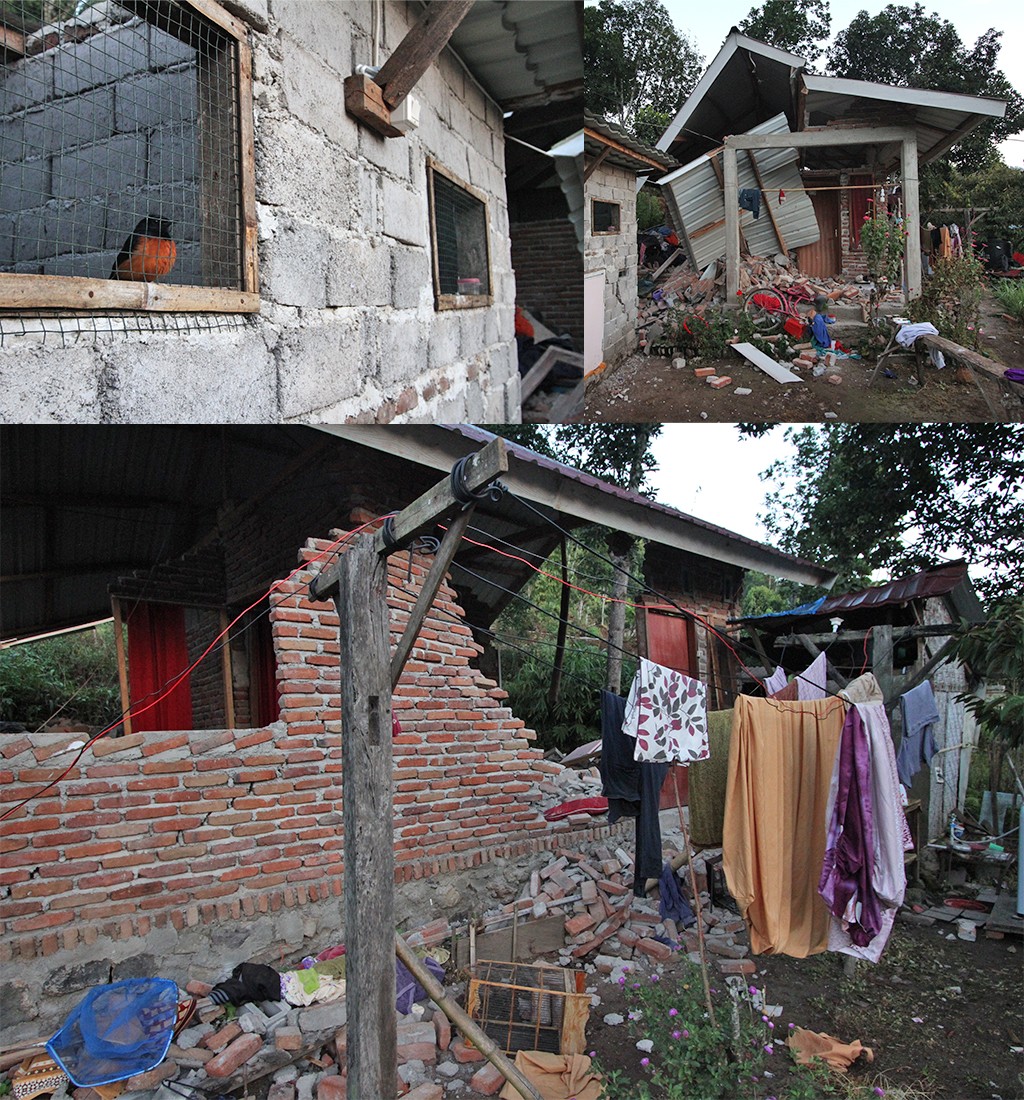aardbeving Indonesië schade