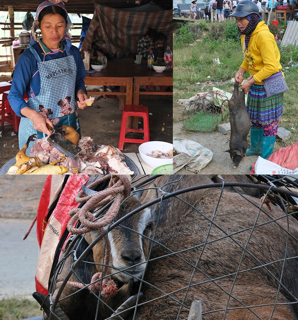 dieren op de markt in Vietnam