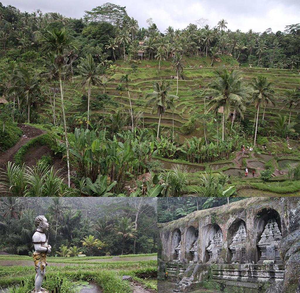 groene natuur op Bali - Tegellalang en Gunung Kawi