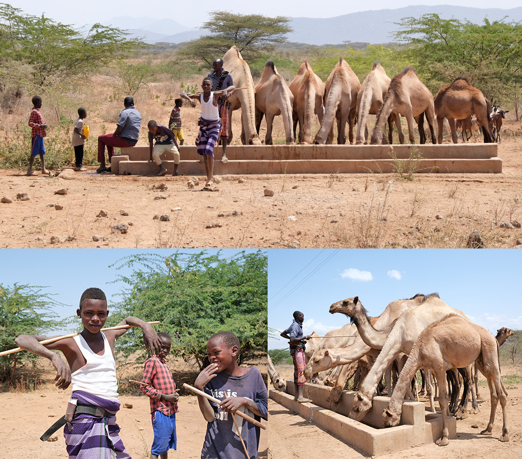kamelenhoeders Kenia