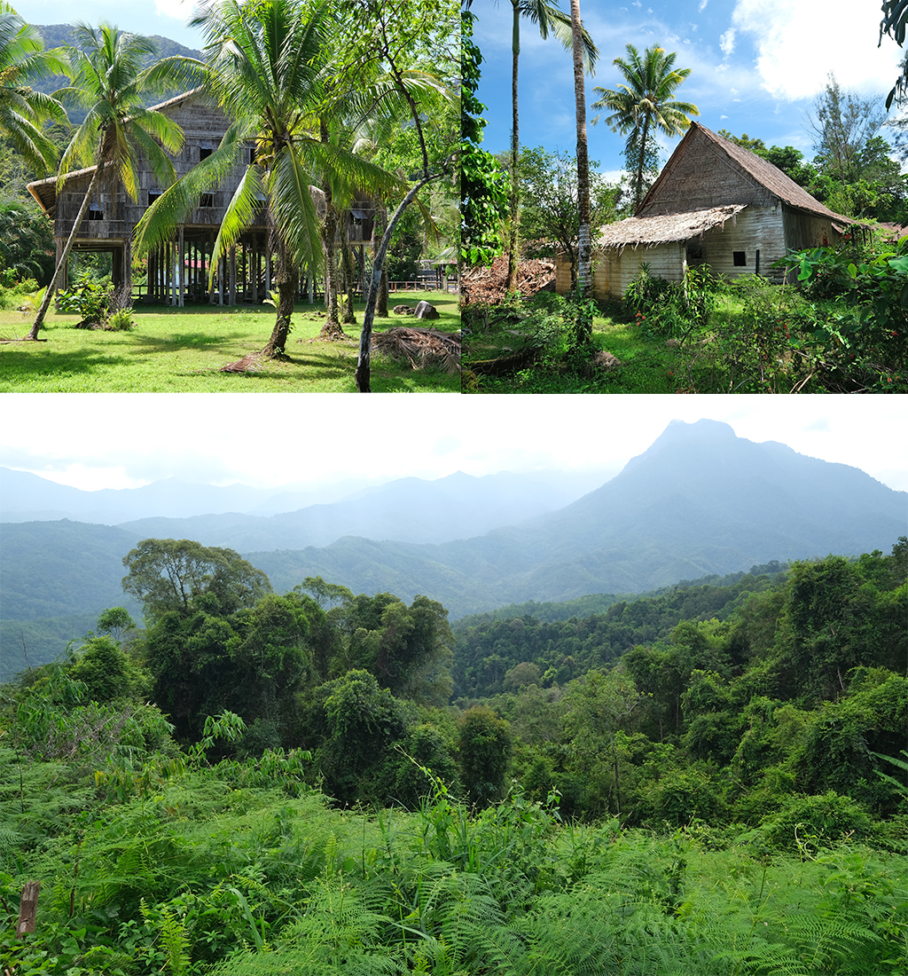 landschappen Maleisisch Borneo