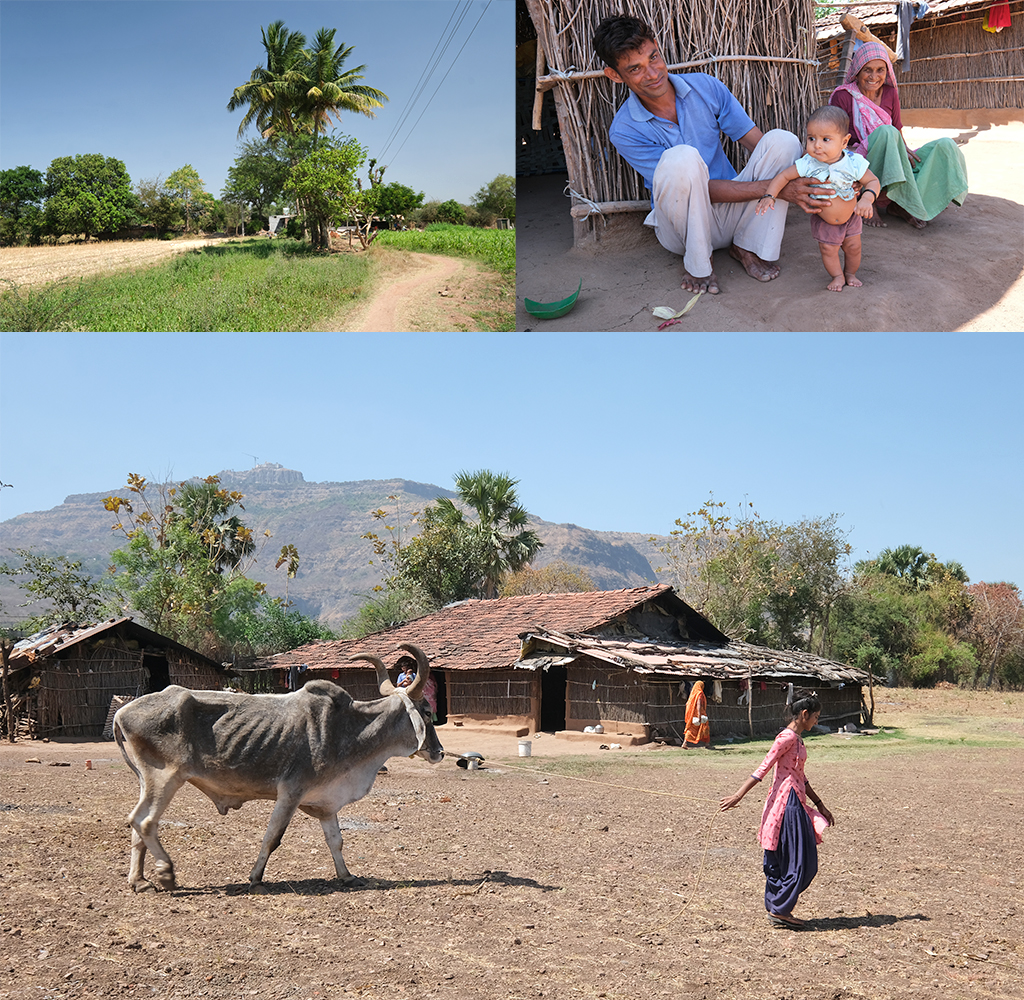 lokale leven Champaner