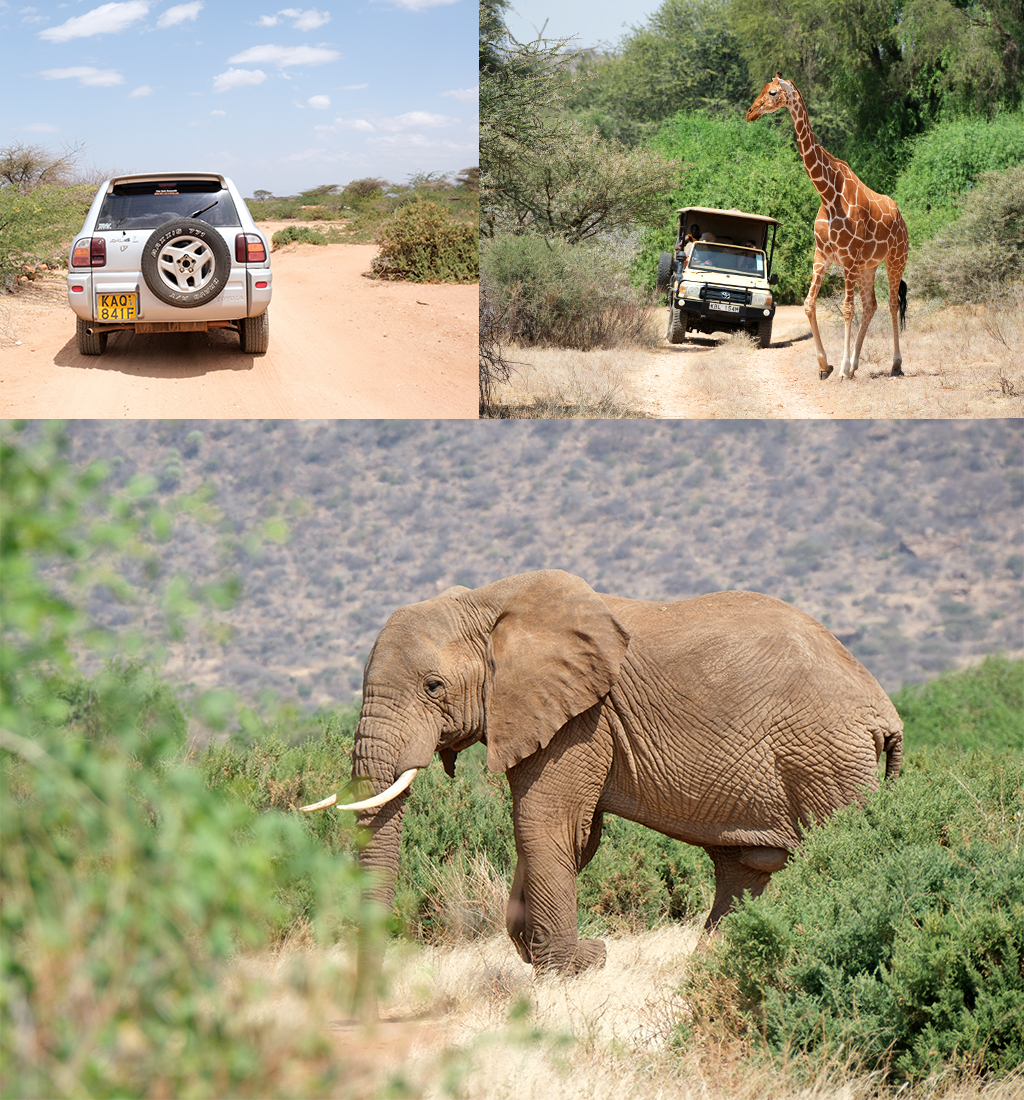 self drive safari Samburu National Reserve