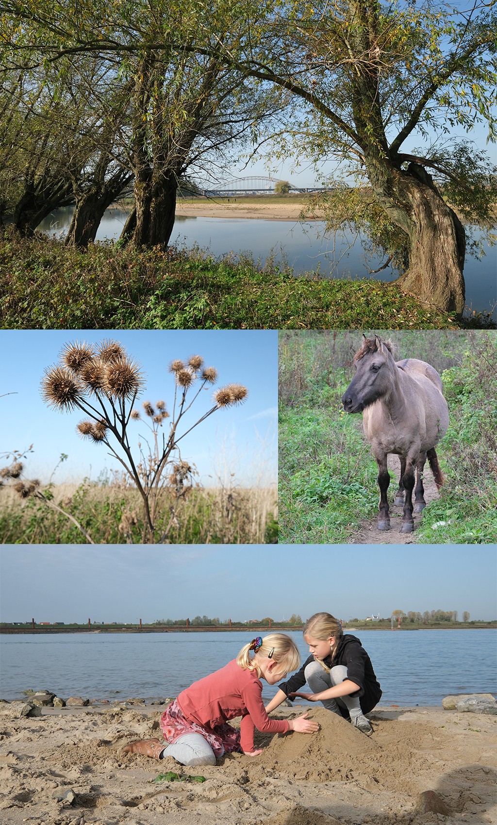 wandelen in de mooiste natuur rond Nijmegen - Ooijpolder