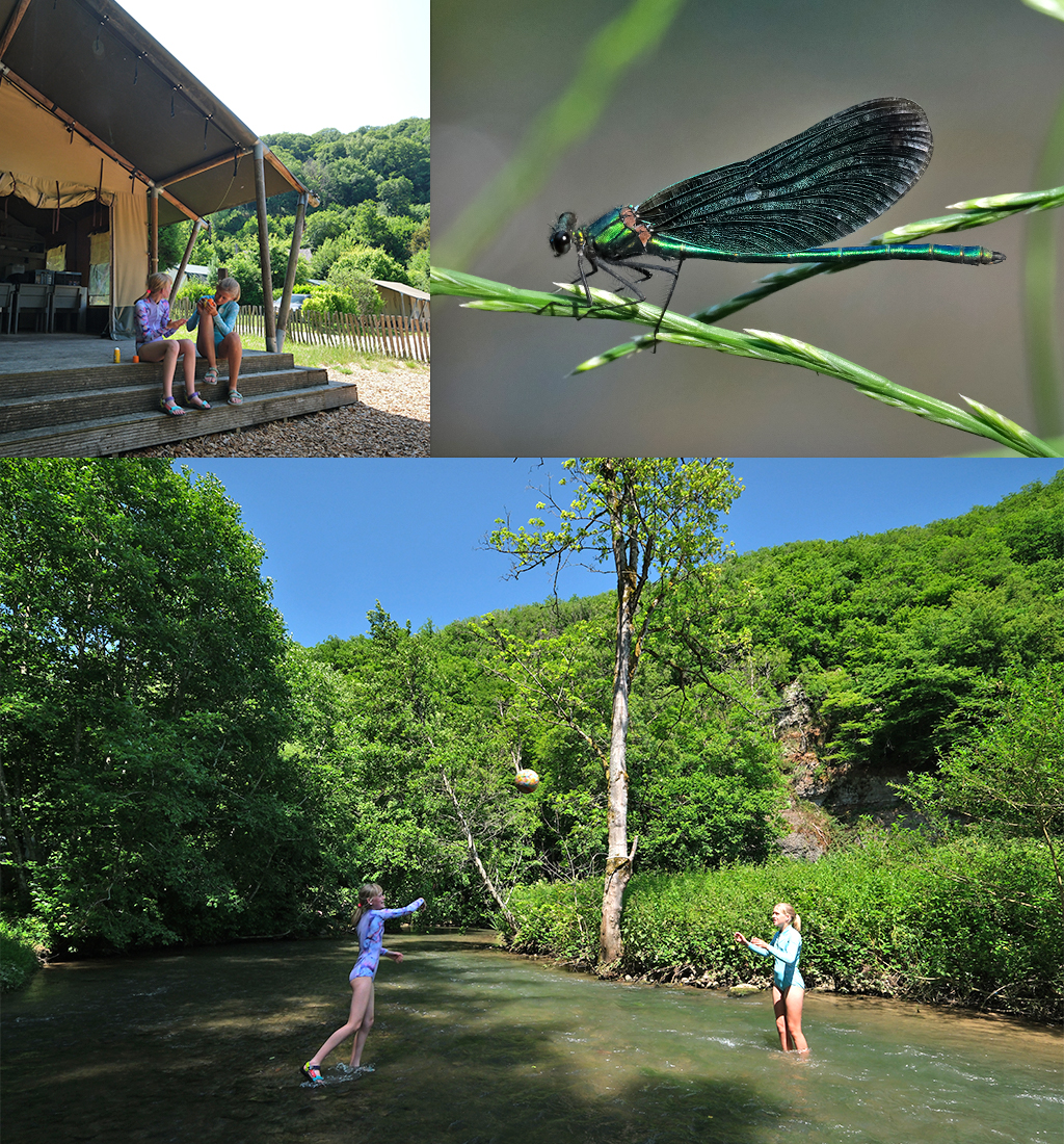 zwemmen Domaine du Bocq